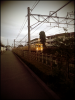 oogiriphp_1194.jpg